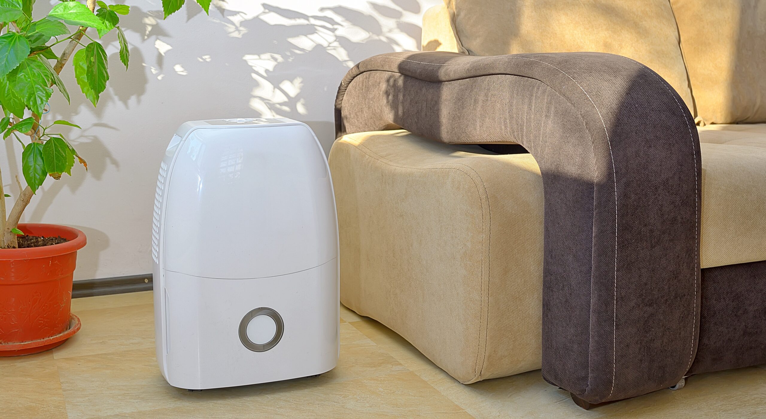 Average dehumidifier cost - lets-do-diy.com